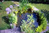 bild4