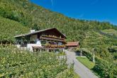 bild1