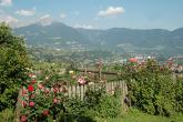 bild7