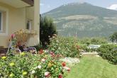 bild1
