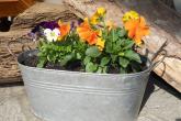 bild6