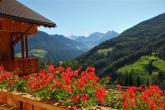 bild7