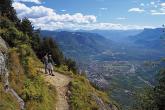 bild8