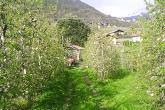 bild8