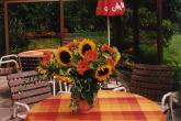bild3