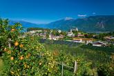 bild8