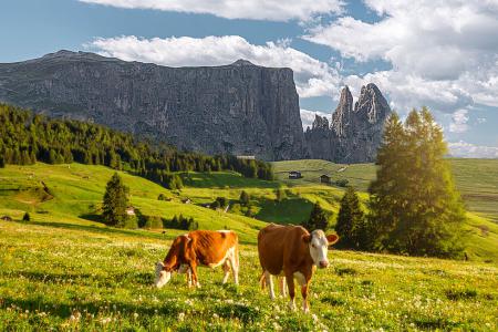 Seiseralm - Schlern