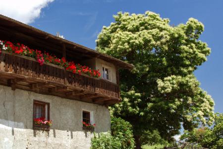 Feldthurns Bauernhaus