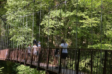 Gaulschlucht in Lana