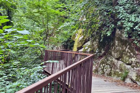 Gaulschlucht in Lana