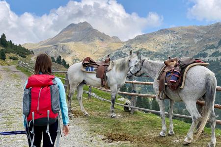 Wanderreiten im Sarntal