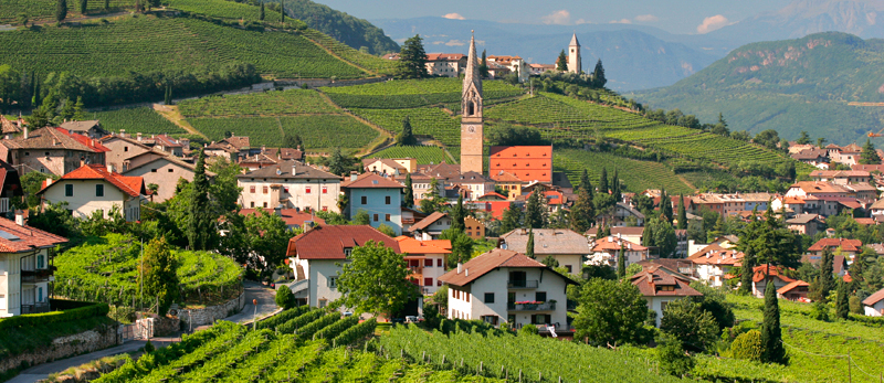 Tramin umgeben von Weinbergen Tramin umgeben von Weinbergen