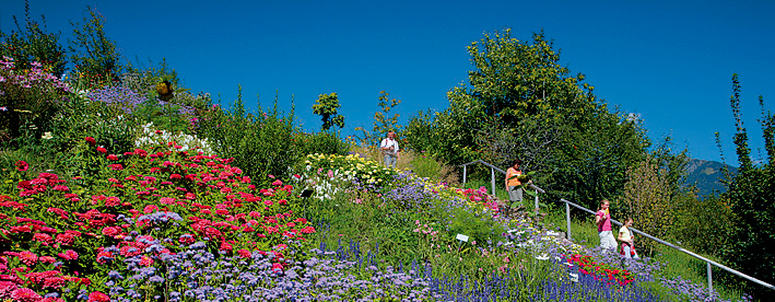 I Giardini Botanici di Castel Trauttmansdorff