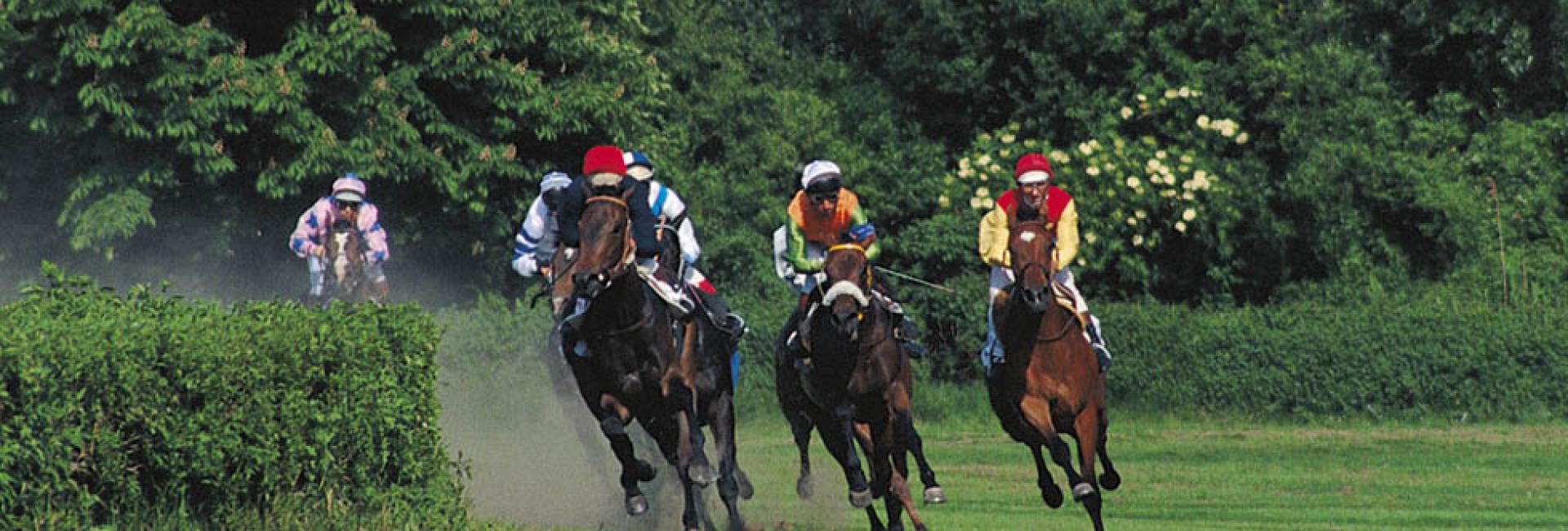 Pferderennplatz in Meran