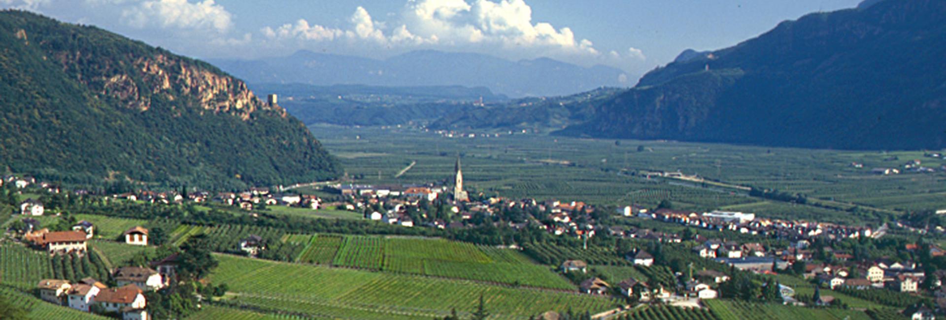 Terlan Panoramaaufnahme