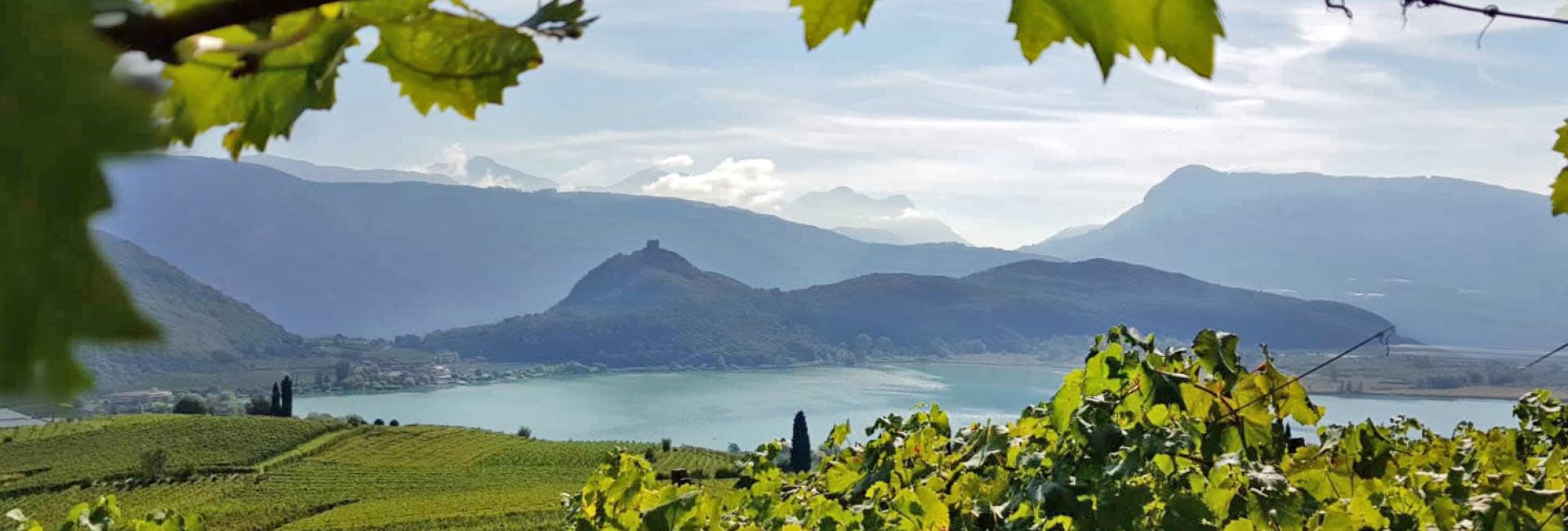 Kalterersee Panorama