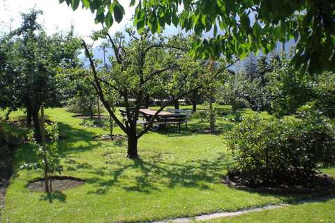 Seitzhof - Urlaub auf dem Bauernhof