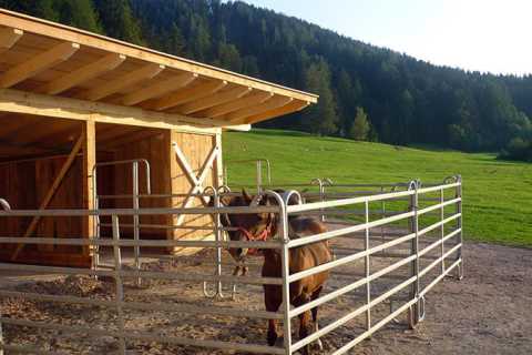 Mesnerhof - Urlaub auf dem Bauernhof in Hafling