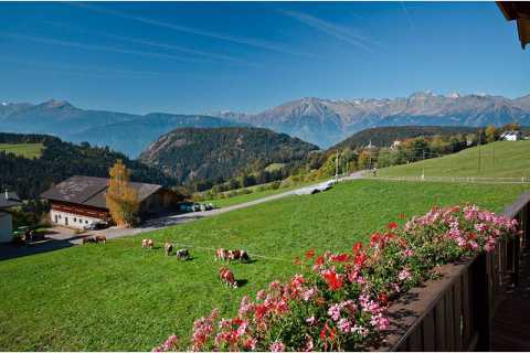 Urlaub auf dem Bauernhof - Tratterhof ✿✿✿