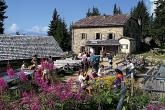 Farm holidays at the Rimmele-Hof