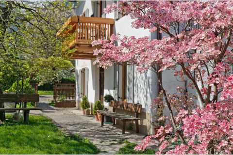 Urlaub auf dem Bauernhof - Pendler Hof