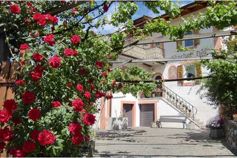 Urlaub auf dem Obstbauernhof - Stckerhof