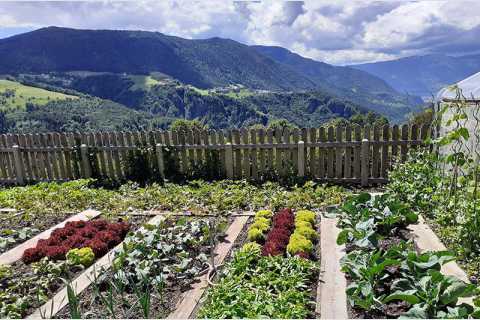 Masunerhof nelle Dolomiti