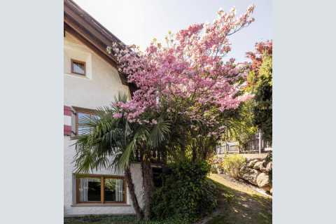 The Villa near Merano