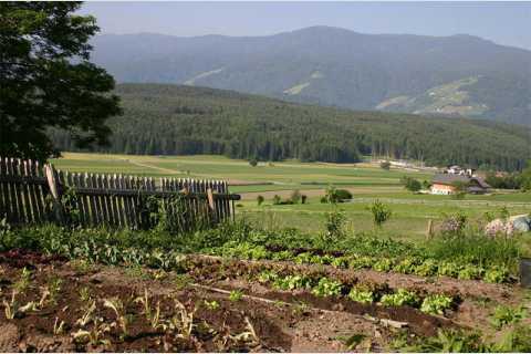 Gasserhof - Urlaub auf dem Bauernhof