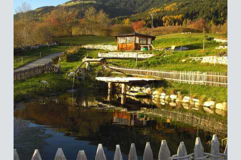 Agriturismo - Gasserhof