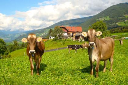 Schnagererhof Schnagererhof