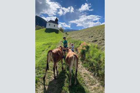 Innerpasthof - Urlaub auf dem Bauernhof in Stilfs