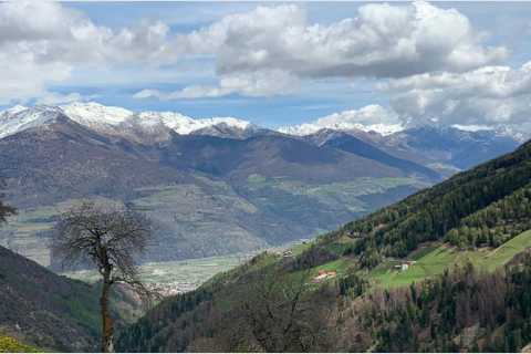 Innerpasthof - Agriturismo Stelvio