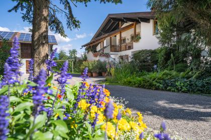 Köstenholzerhof - Urlaub auf dem Bauernhof
