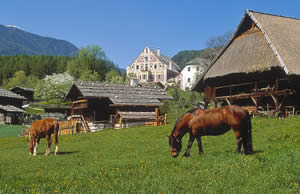 Sdtiroler Volkskundemuseum Dietenheim