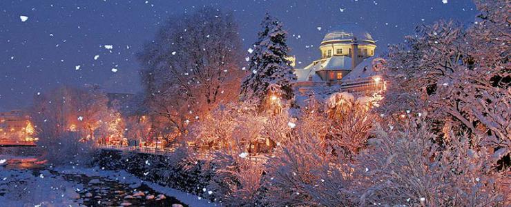 The Meran Christmas market