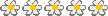 5 Blumen 5 Blumen